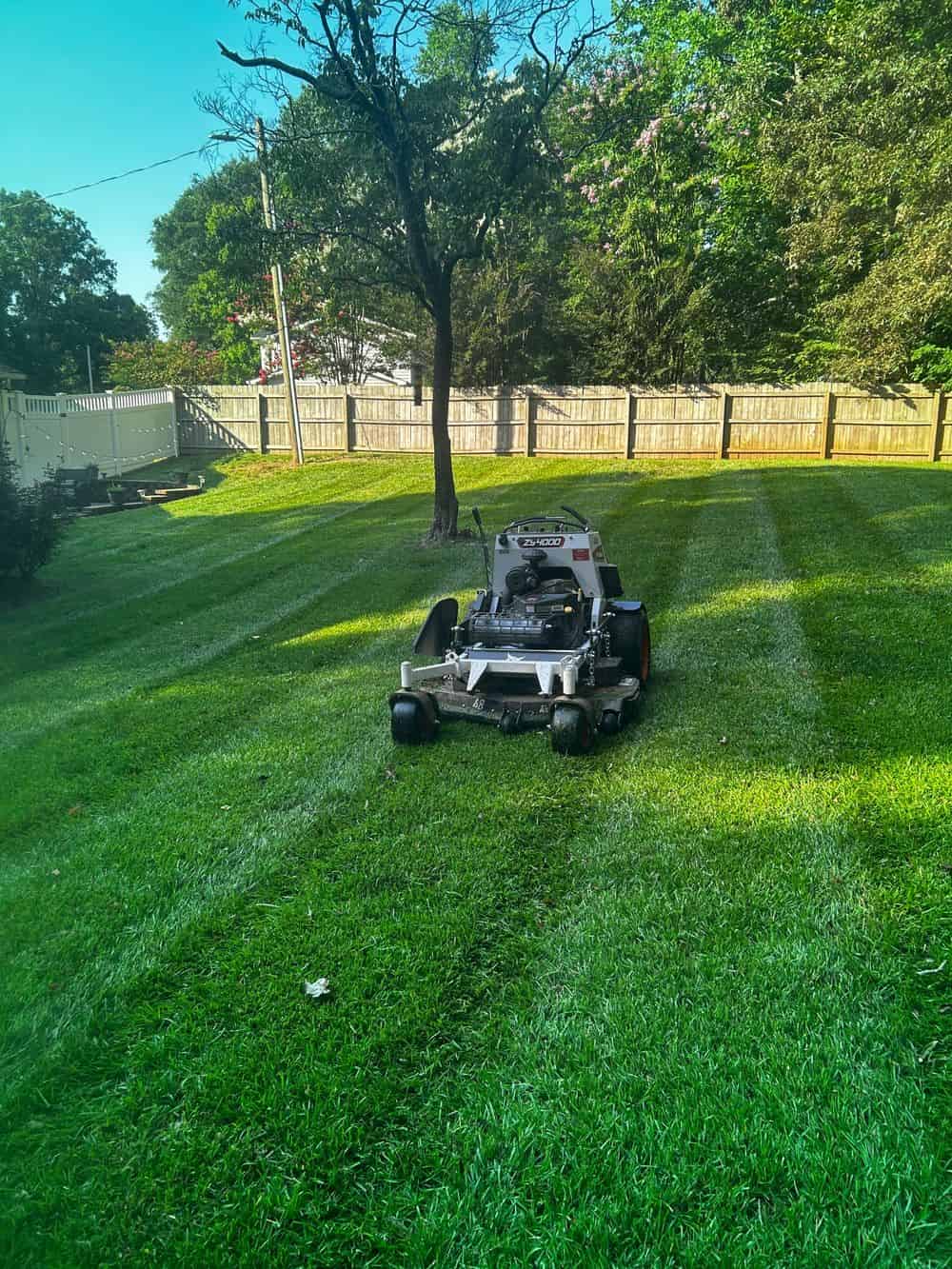 Yard Cleaning image