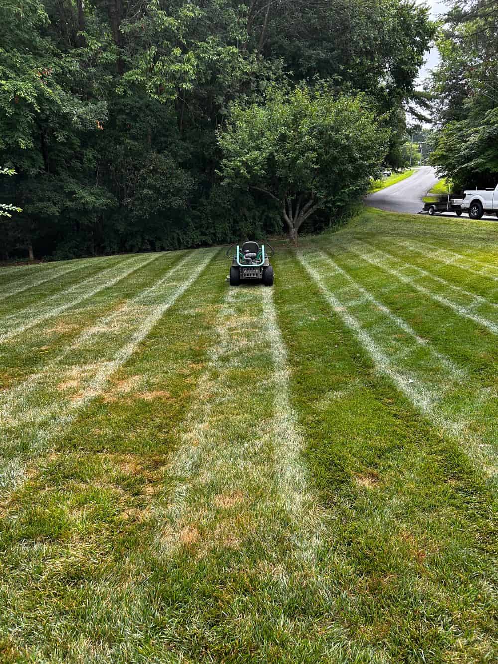 Landscape Maintenance and Renovation image