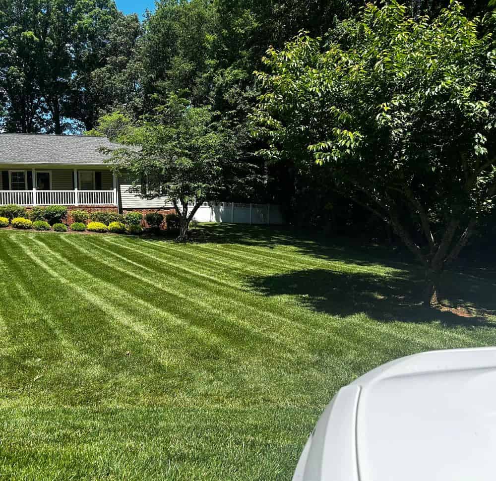 Lawn Maintenance image